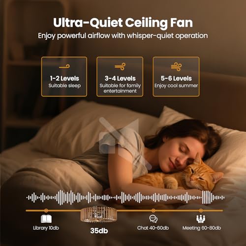 Image of 20 inch Farmhouse Wooden Caged Flush Mount Ceiling Fan with Lights, DC Motor, 6 Speeds Remote Control, Low Profile Bladeless Fandelier for Bedroom, Kitchen, Living Room