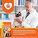 Hip & Joint Bites for Cats - Cat Joint Supplement,Chicken Flavored Glucosamine Joint Supplement for Cats - Cat Joint Supplement for HIPS & Joints, Cat Arthritis Pain Relief, with Green Lipped Mussel
