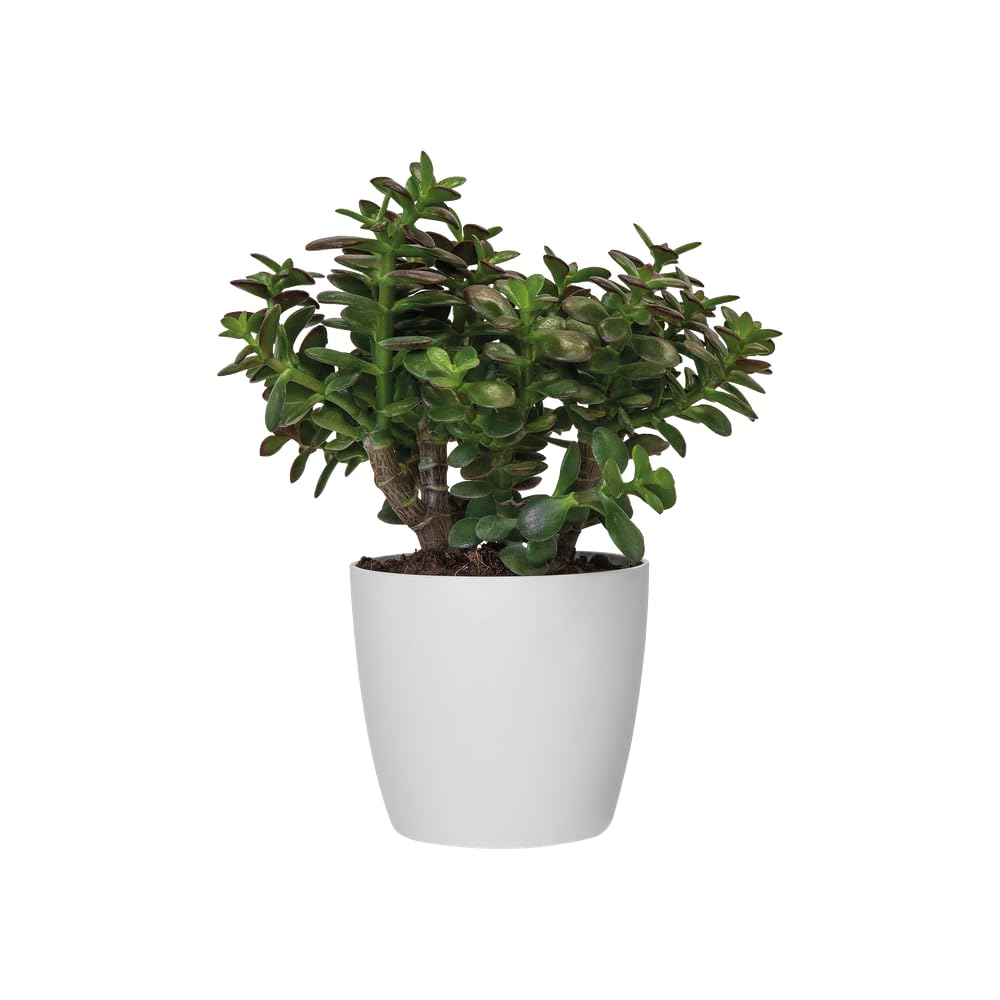 Elho Brussels Diamond Vaso Rotondo Oro 14: Per Piante Da Interno, 13,6 X 12,5 Cm, Plastica Riciclata