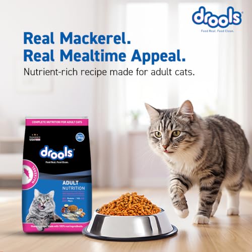 Image of Drools Adult Dry Cat Food 1.2kg Pack | Mackerel Flavour | Enriched with Essential Nutrients | Supports Skin & Coat | Complete Nutrition | Aids Digestion | Promotes Growth