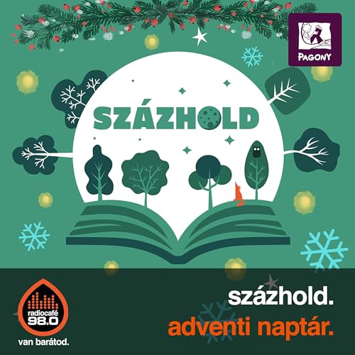 Bodor Panna: A kar&aacute;csonyi meglepet&eacute;s (2025-12-12) cover art