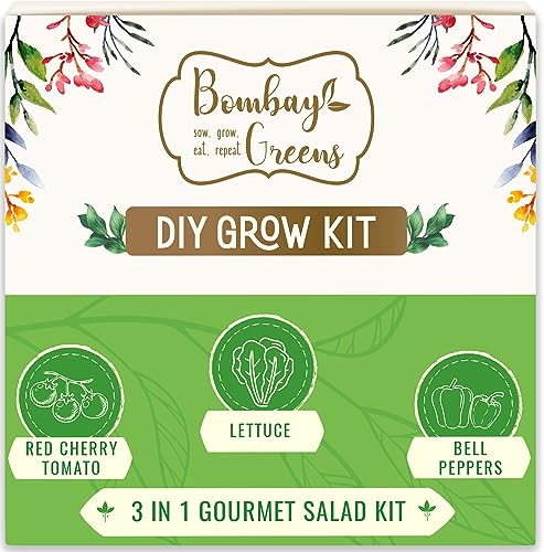 3 in 1 Salad Gardening Kit | DIY Kit of Vegetable Seeds for Home Garden | Combo Seeds for Gardening | Grow Your Own Kit – Lettuce Seed, Cherry Tomato Seeds & Bell Pepper Plant Seeds 3 in 1 Salad Gardening Kit | DIY Kit of Vegetable Seeds for Home Garden | Combo Seeds for Gardening | Grow Your Own Kit – Lettuce Seed, Cherry Tomato Seeds & Bell Pepper Plant Seeds
