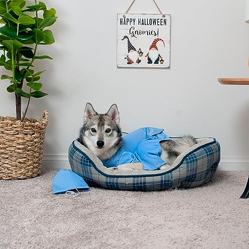 Disfraz de enfermera para perros tamaño Medium miniatura 5