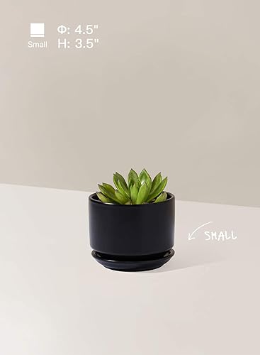 Miniatura 3 de LE TAUCI - Macetas de 4.5 pulgadas y 5.3 pulgadas y 6.5 pulgadas maceta con agujeros de drenaje y platillos de cerámica, con bandeja, macetas de