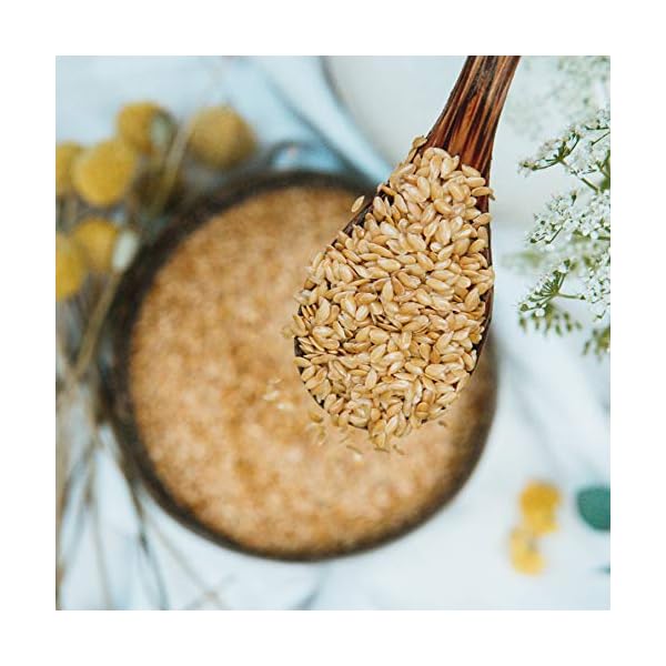 AHO Goldene Leinsamen aus deutschem Bio-Anbau 850g | 100% Plastikfrei, Regional, Öko | Lokales Superfood (850g) – Bild 7