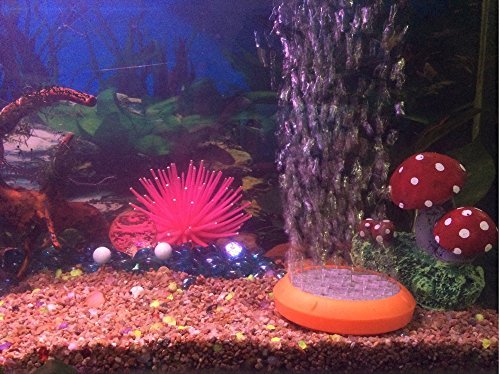 VasuWorld Plastic Stone Disk Water Airstone Oxygen Bubble Air Pump T Connector and Pipe Aquarium Accessories (Multicolour) (B01N7IQWYH) Amazon Price History, Amazon Price Tracker