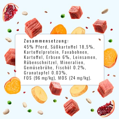 Sollis Trockenfutter für Hunde | Hypoallergen | Pferd | Allergiker geeignet | Getreidefrei & Zuckerfrei | Besonders verträglich | 2kg
