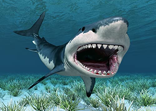 Toile de fond requin blanc 2,4x1,8m pour décor de fête océan