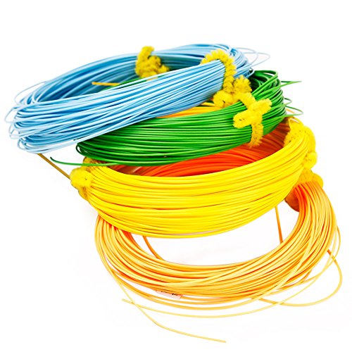 Sougayilang Fly Line 100FT Floating Weight Forward for Fly Fishing...