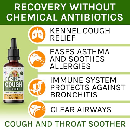 Kennel Cough Herbal Drops for Dogs & Cats - Cough Relief - Throat Soother - Homeopathic Respiratory Support - Dry, Wet Pet Cough and Cat Asthma, Sinus Congestion Treatment - Made in US - 2 Fl Oz - Image 3