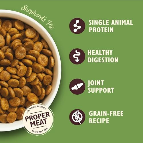 Lily's Kitchen Natural Grain Free Complete Adult Dry Dog Food - Lamb Shepherd's Pie, 1 kg