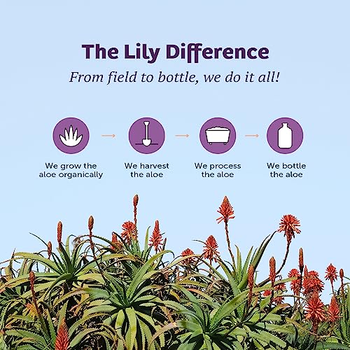 Lily Of The Desert Aloe Vera Juice - Whole Leaf Filtered Aloe Vera Drink thumb #6