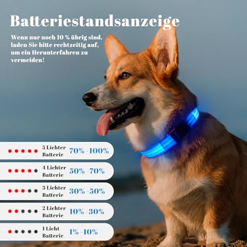 Leuchthalsband Hund, Hundehalsband Leuchtend Aufladbar mit Batteriekontrollleuchte, Wasserdichtes LED Hundegeschirr Leuchtend, Einstellbare Größe 3 Blinkende Lichter
