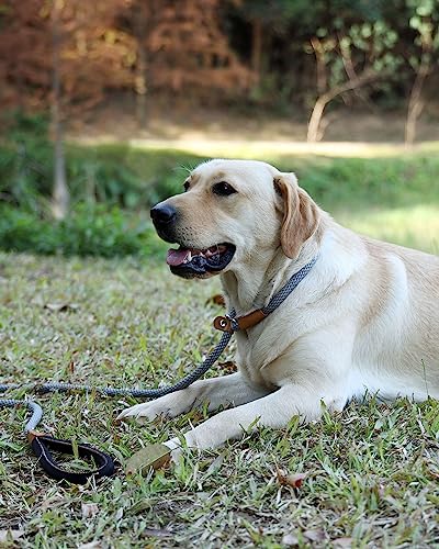 lynxking Schleppleine für Hunde Hundeleine Retrieverleine Führleine Zugleine für kleine mittelgroße große Hunde (Orange, Zugstopp-1.3cm x 180cm)