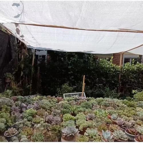 Housse de protection solaire en maille blanche pour terrasse et niche - 5