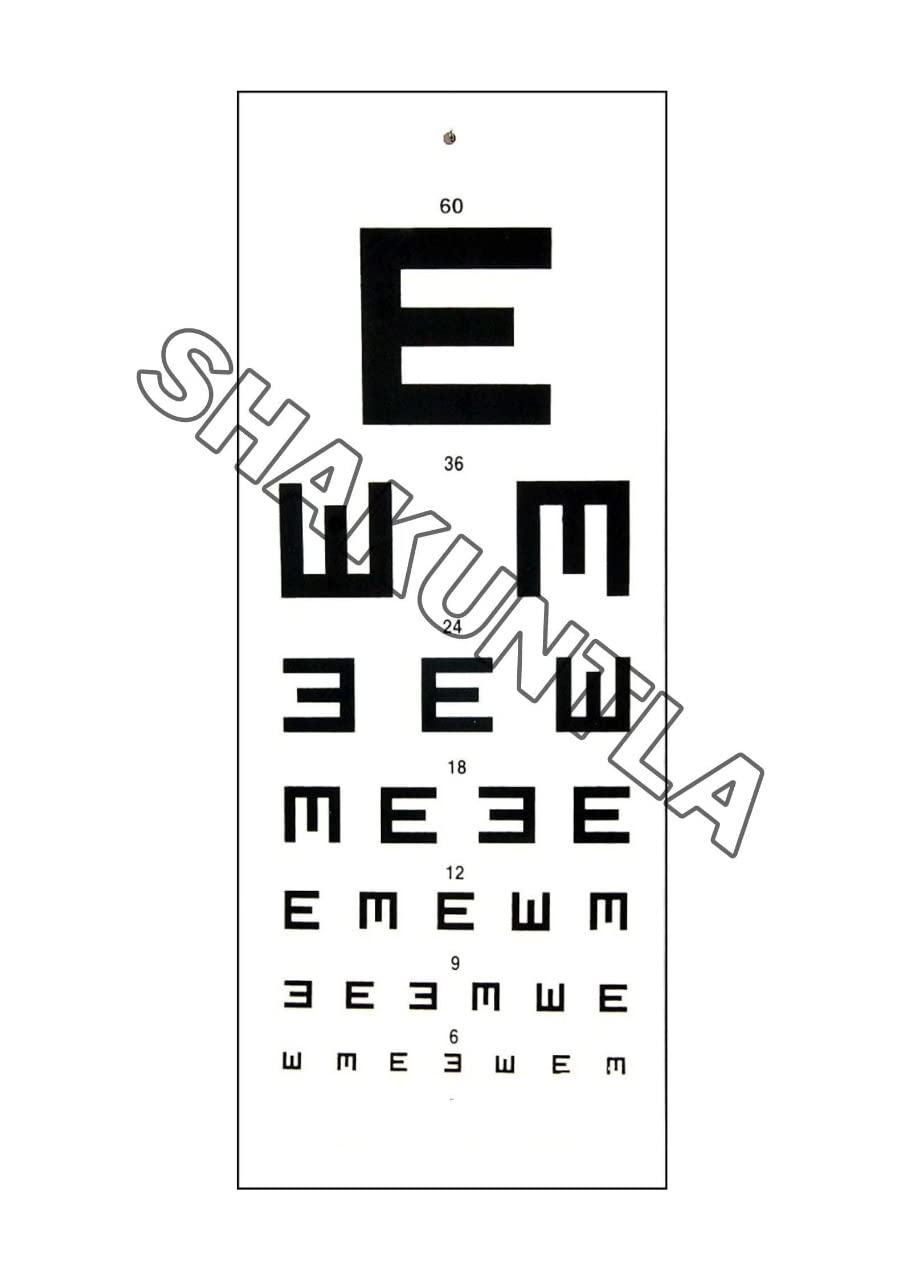 Shakuntla Eye Testing "E" Vision Test Chart For Eye Check Up (E chart) (B0BSFLCCHJ) Amazon Price History, Amazon Price Tracker