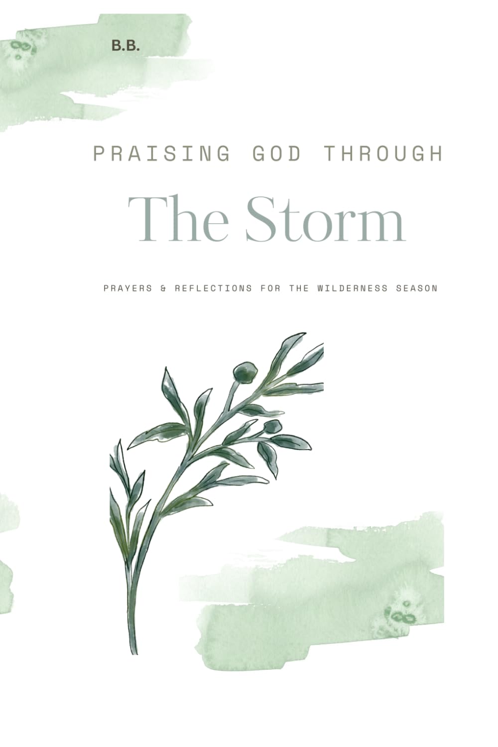 Praising God Through the Storm: Prayers and Reflections for the Wilderness Season
