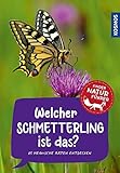 Welcher Schmetterling ist das? Kindernaturführer: 85 heimische Arten - Jens Poschadel 