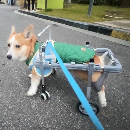 Silla de ruedas para perros de 4 ruedas con soporte para patas traseras 2