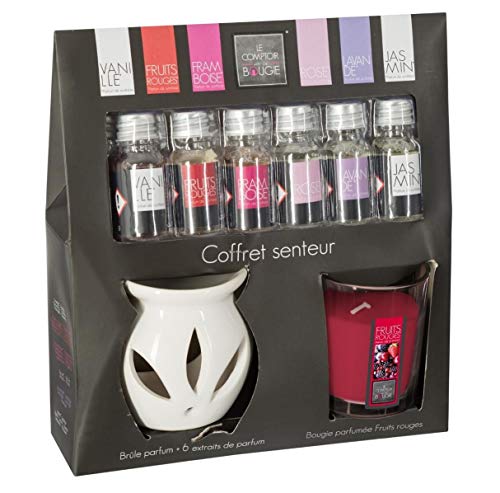 Ducomi Set bougie parfumée, brûleur d'encens et 6 essences parfumées, parfum d'ambiance en céramique avec huiles essentielles pour chaque pièce de la maison u0096 Idée cadeau (fruits rouges)