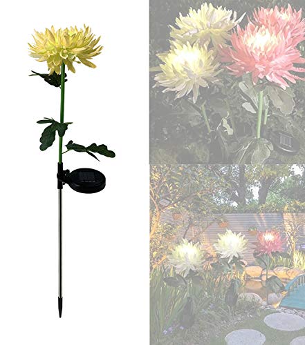 Lumières de piquet de jardin solaires balisage extérieur fleur printemps