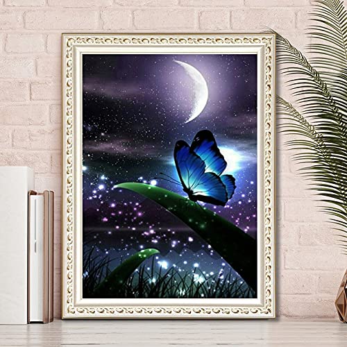 Peinture Diamant Papillon de Lune grand format 50x100cm en kit complet