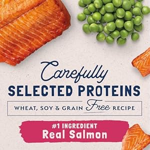 Pure Stability Restricted Ingredient Grownup Grainfree Dry Cat Meals Salmon  Inexperienced Pea Recipe 10 Pound pack of 1  Cucciolini Doodles Pure stability restricted ingredient grownup grain free dry cat meals salmon  inexperienced pea recipe 10 pound pack of 1   cucciolini doodles