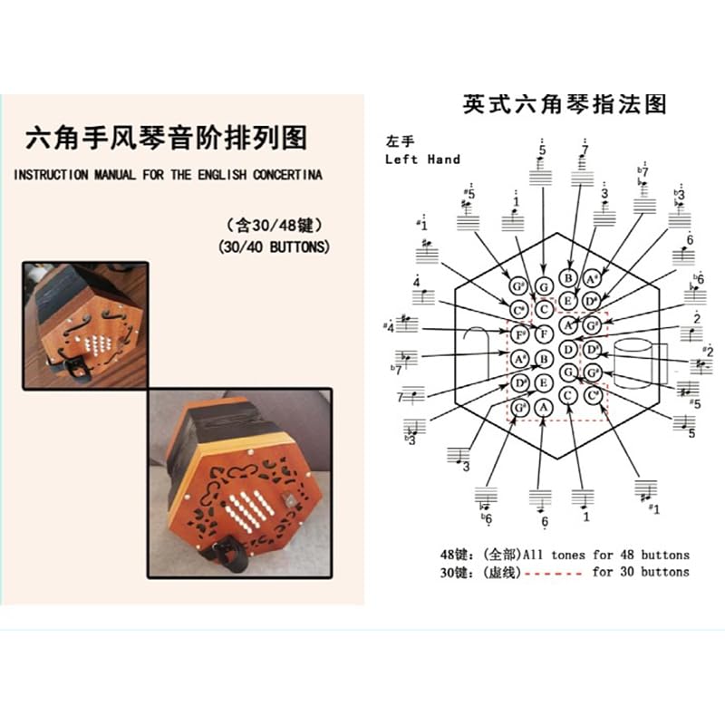 Amazon.co.jp: 六角アコーディオン アングロ 英語 六角形 プッシュプル