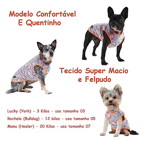 Pickorruchos My Dream Star Para Cães - Tamanho 04