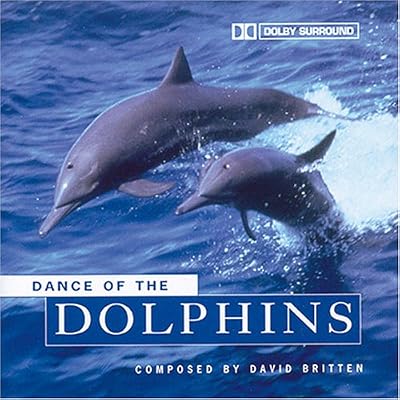 Dance of Dolphins