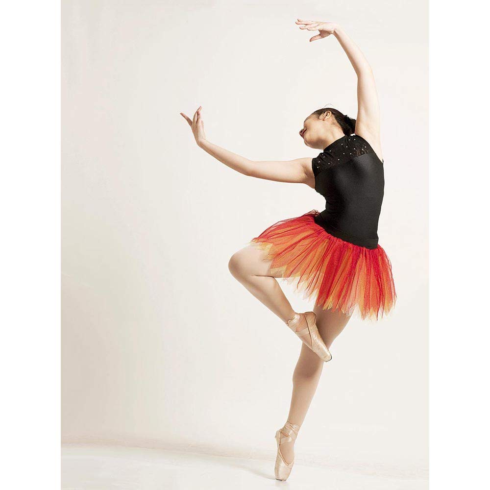 Wee Blue Coo Photo Ballet Dancer Ballerina Art Print Poster Wall Decor 12X16 Inch