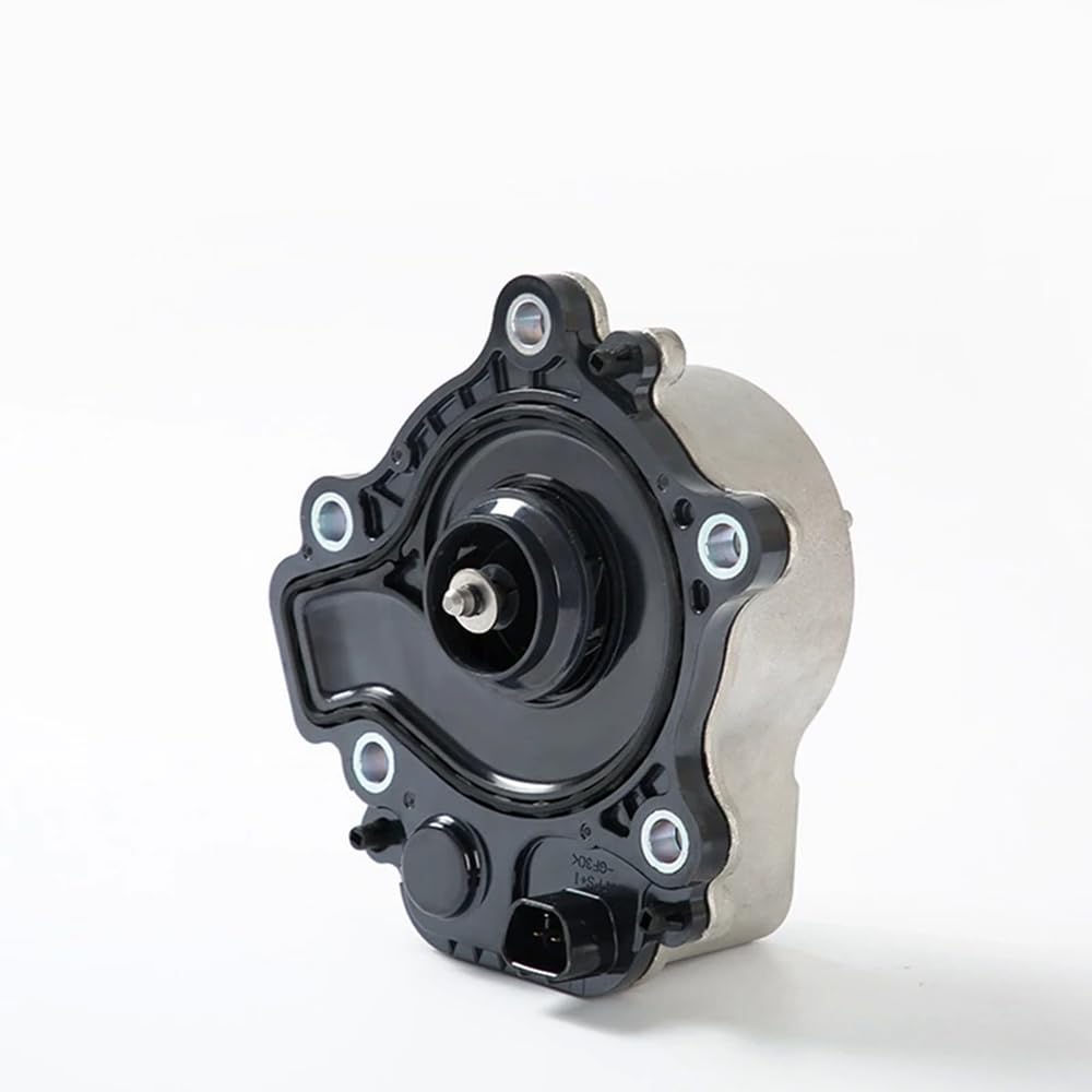Bomba de Agua para Coche, 1 Unidad, Compatible con Modelos CT 161A0-29015 161A039015 161A029015