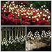 IUEECEN Solar Garden Lights Garden Decor, Solar Flowers Lights Outdoor Decorative,2Pack 40LED Solar Lights Outdoor Garden Waterproof for Outside Yard,Lawn,Patio,Pathway Decorations Gardening Gifts