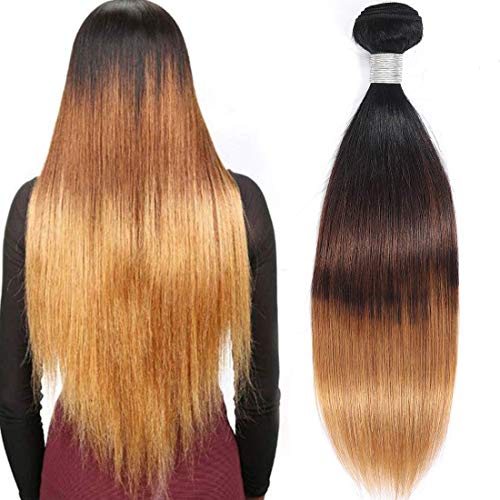 Lizourey Hair Ombre Brazilian Virgin Hair Straight Ombre Human hair 3 Tone, One Bundle Ombre Brazilian Hair Extension Weave (1B/4/27,14")