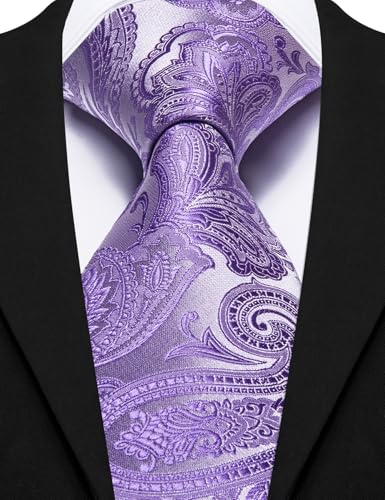 Image of Barry.Wang Paisley Tie for Men Silk Woven Necktie and Tie Clip Set Wedding Party Business Formal