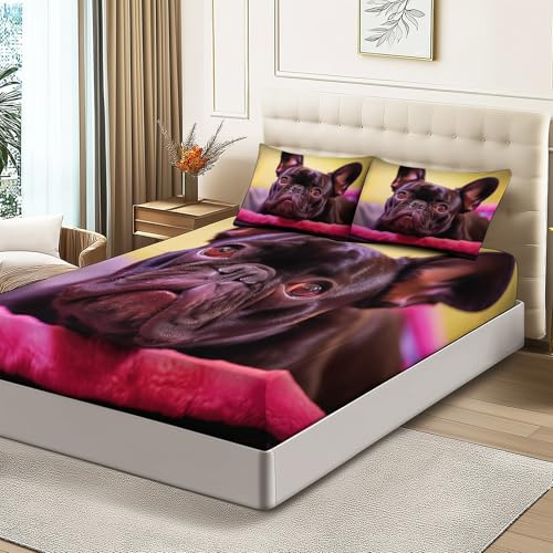 Completo letto Matrimoniale con lenzuolo sopra morbido e confortevole (160x190x30 cm) e 2 federa, motivo Animale Cane Bulldog Francese, in microfibra spazzolata 100%, senza rughe e anallergico, Viola