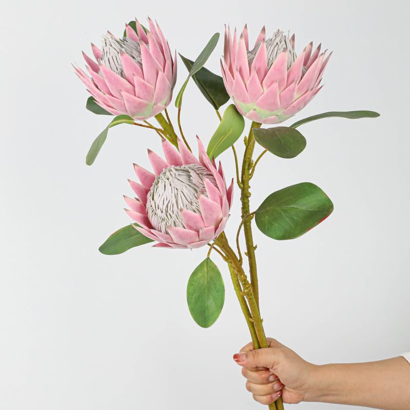 Elegante arreglo floral king protea de alta calidad para una decoración sofisticada 4