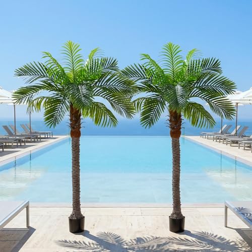 6FT Artificial Coconut Palm Tree Set of 2, UV Resistant Faux Sago Palm Plants for Indoor Outdoor, Realistic Large Tropical Decor for Home Office Patio Poolside Garden, Ready to Use in Cement Pot