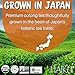 Haiku Organic Japanese Oolong Tea, Kosher, Non-GMO 16 Teabags (1 box)