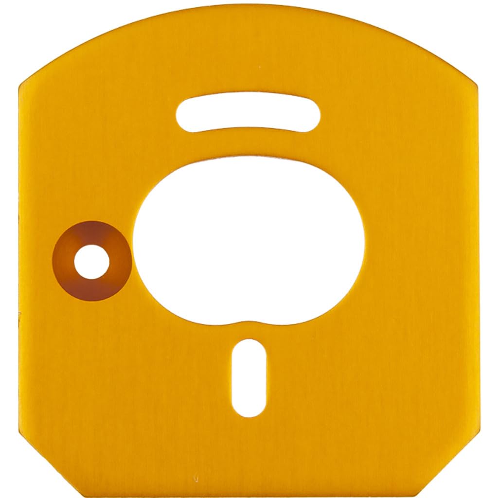 Associated 31953 6x6 Motor Mount Plate Gold