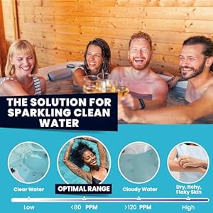 Spa clarifier eliminate cloudy water impurities rapidly for crystal clear spa water 32 ounce  urban country home decor