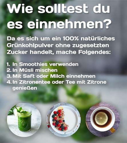 KaLOHaS+ Pure Superfood Bio Grünkohl Pulver – Ohne Zusatzstoffe, Gefriergetrocknet, Hoher Gehalt an Protein, Kalzium, Vitamin C & K – Antioxidantienreich, 9 essentielle Aminosäuren, 25 x 2g Sachets