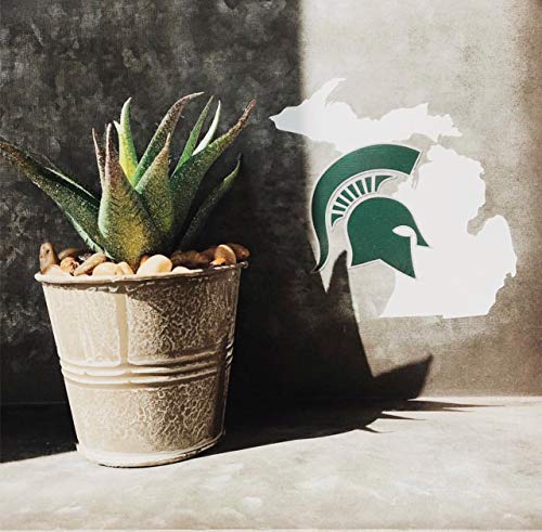 Image of Collegiate NCAA Car Decal Made from Premium Weatherproof Vinyl (Michigan State Spartans - State of MI)
