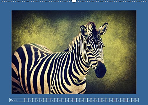 Die schönsten Tierportraits der besonderen Art (Wandkalender 2017 DIN A2 quer): Ausdruckstarke Portraits aus unserer wunderbaren vielfältigen Tierwelt ... Angela und DESIGN Photo + PhotoArt, AD