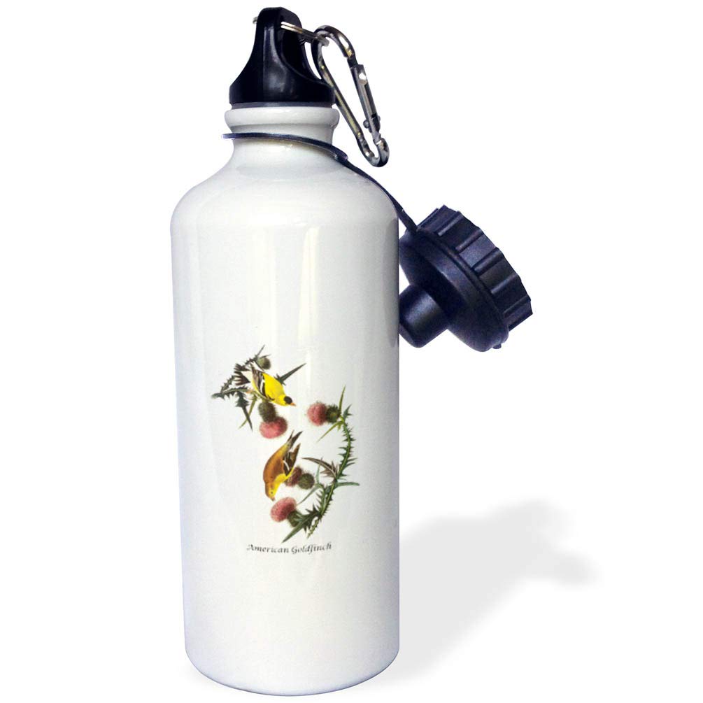 3dRose American Goldfinch by John James Audubon Sports Water Bottle 21 oz White