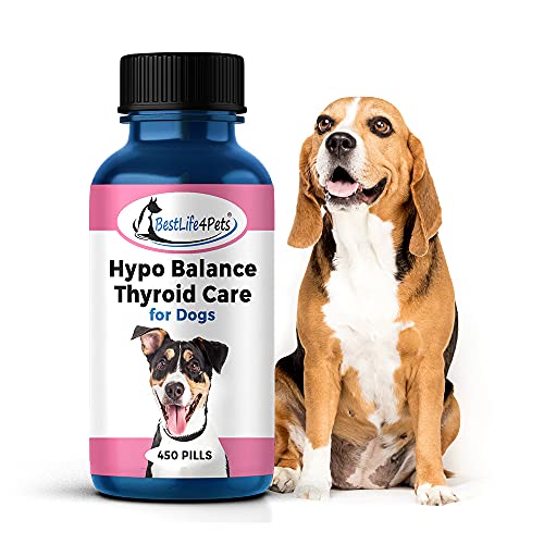 10 Best Our Top 10 Thyroid Supplement For Dogs On The Market of 2022