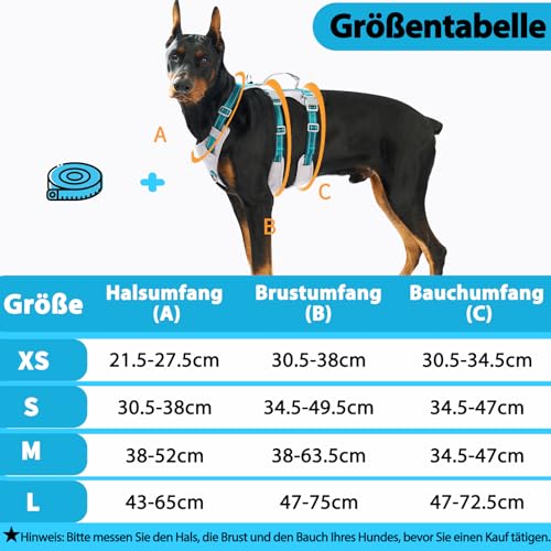 Huntboo Sicherheitsgeschirr Hund Ausbruchsicher, Panikgeschirr für Hunde, Reflektierendes Geschirr Hund mit Griff, Verstellbare Hundegeschirr für kleine, mittelgroße und große Hunde (Blaugrün,M)