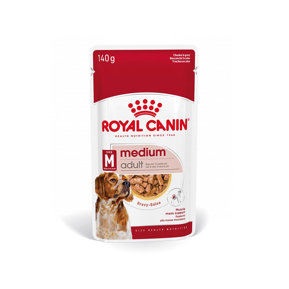 ROYAL CANIN Medium Adult | Pack Double | 2 x 10 x 140 g | Alimentation complète pour Chiens Adultes de Taille Moyenne de 11 à 25 kg | De 12 Mois à 10 Ans