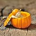 Top Collection Miniature Fairy Garden and Terrarium Sleeping Fairy Baby in Orange Pumpkin Statue