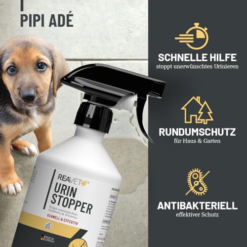 ReaVET Urin Stop für Hunde & Katzen 500ml I Mildes Hundeabwehrspray & Katzenabwehrspray I Nicht färbend I Urin Entferner I Hundeschreck gegen Markieren I Anti Kratz Spray Möbel, Innen- & Außen
